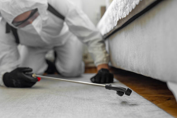 Professional Bed Bug Control technician working in South Nyack, NY