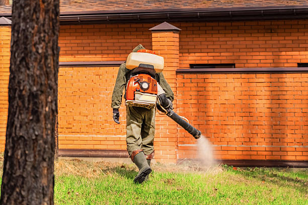 Trusted Emergency Pest Control service in South Nyack, NY - Nex Pest Control